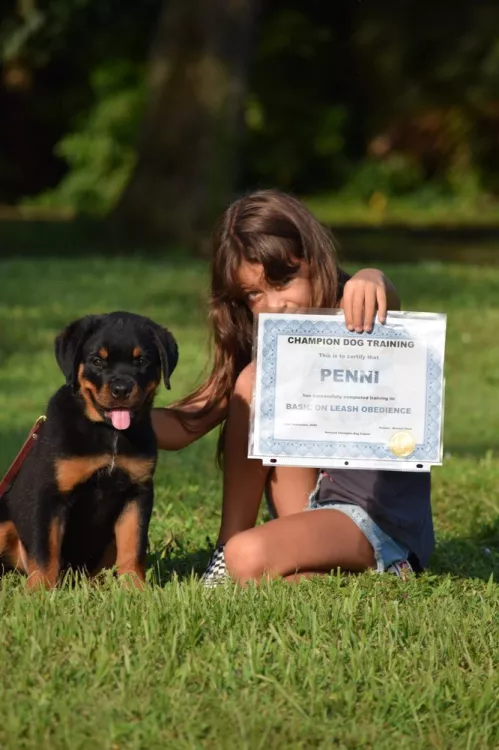 Champion Dog Training, Florida, Fort Lauderdale